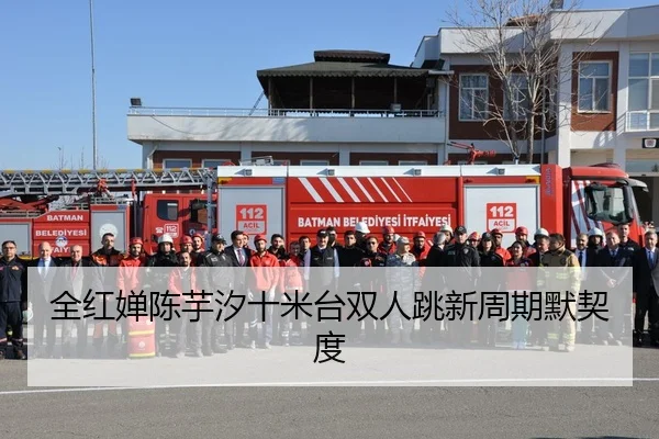 全红婵陈芋汐十米台双人跳新周期默契度
